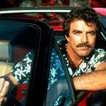 image-824577-star_orchid_magnum-6512b.jpg